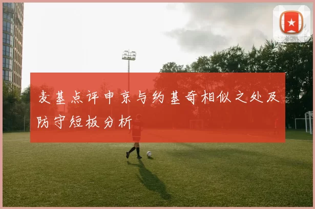 麦基点评申京与约基奇相似之处及防守短板分析